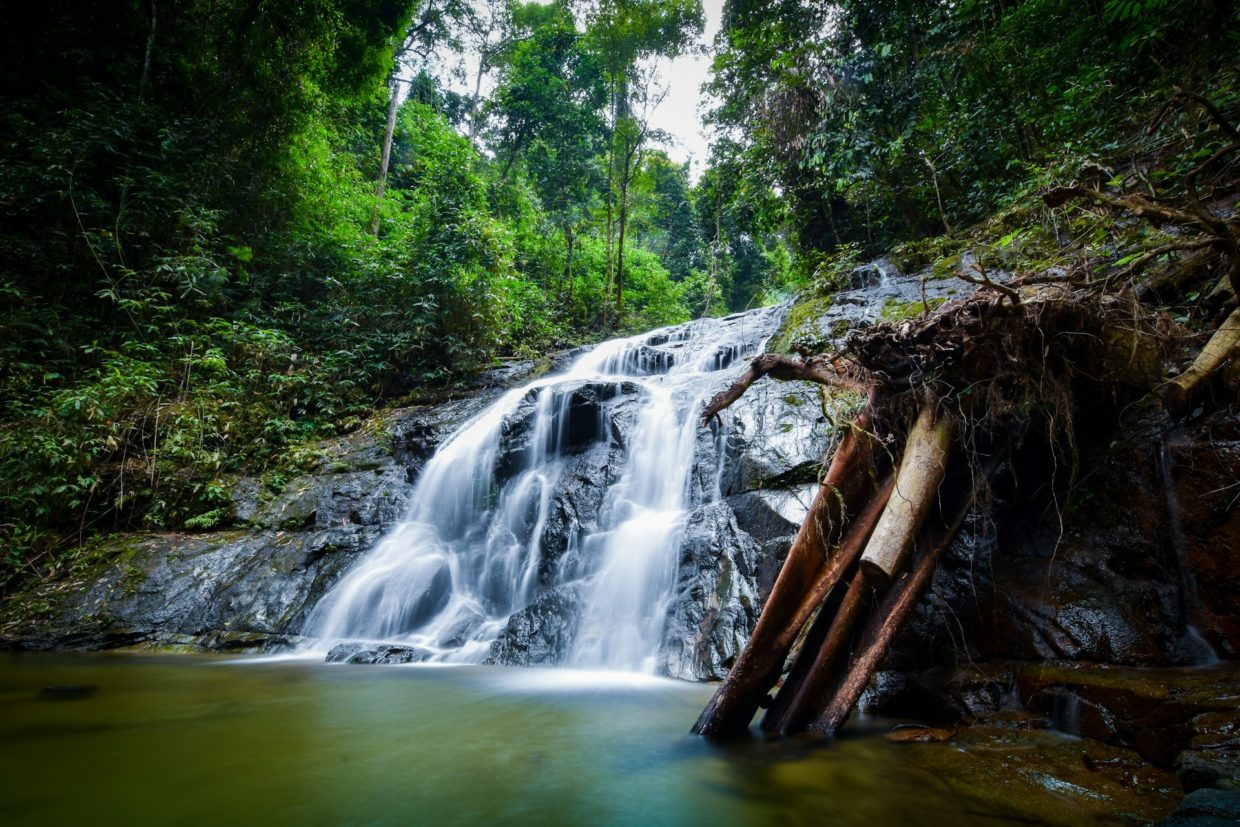 Khao Lak Nature