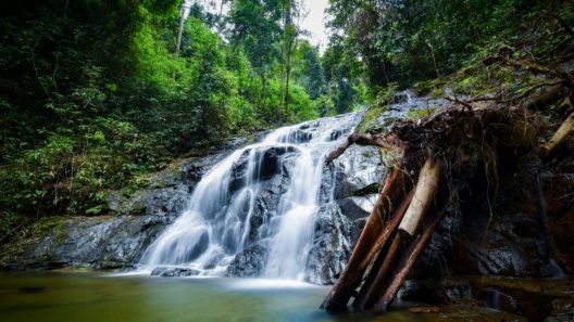 Khao Lak Nature