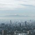Japan Travel