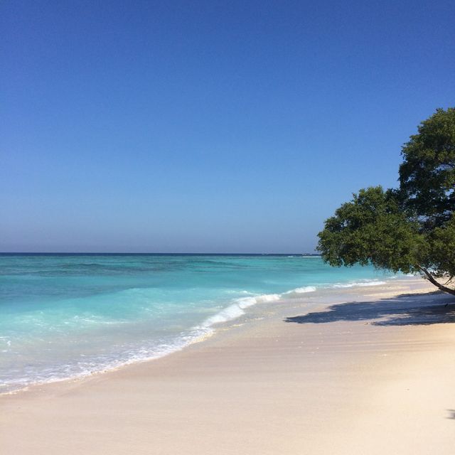 Beach & Island
