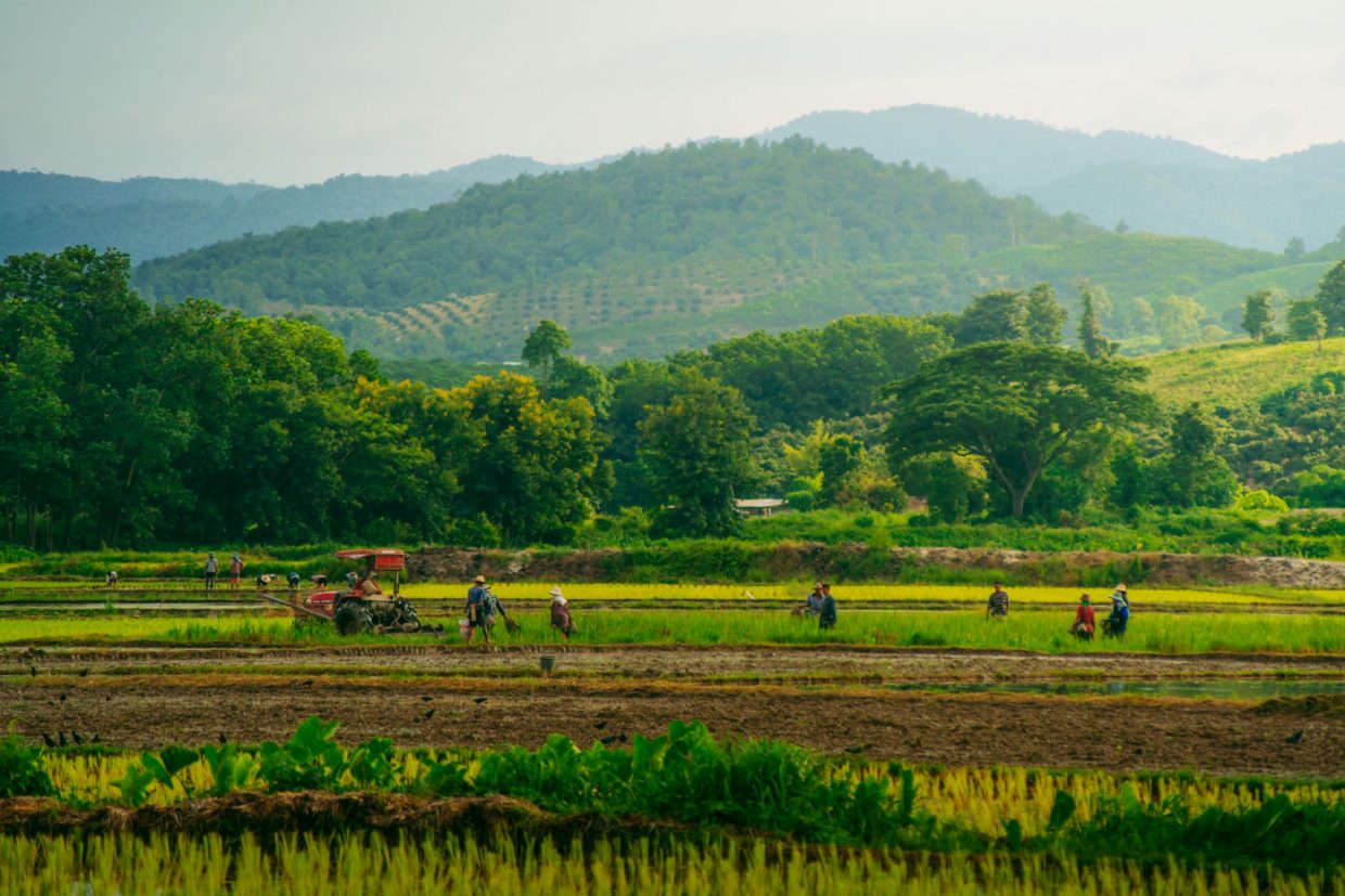 Chiang Rai Scenery by Wathanyu-Chomchuen-unsplash