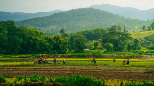 Chiang Rai Scenery by Wathanyu-Chomchuen-unsplash