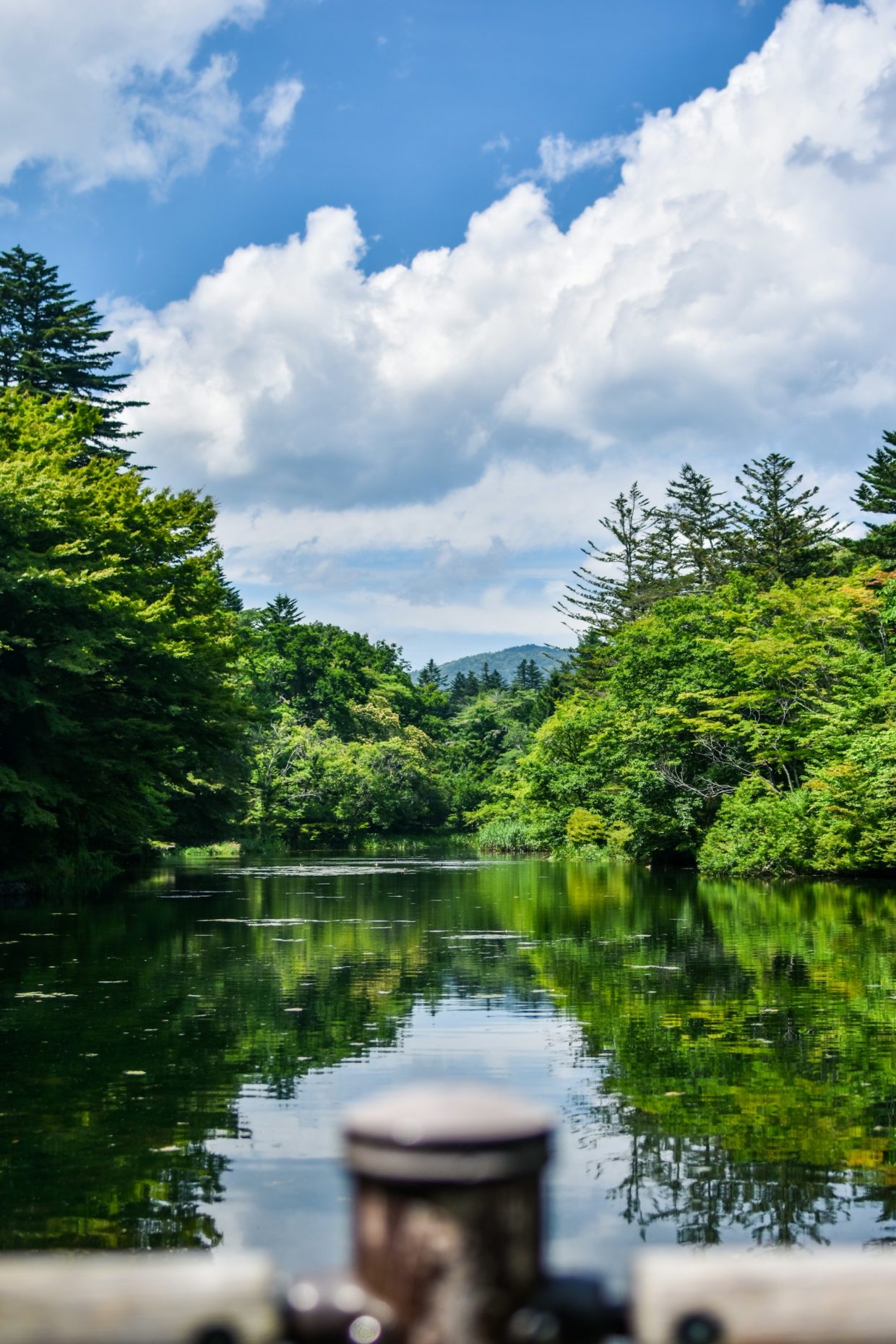 Kumoba Pond Karuizawa Japan by Jayrome Balicol