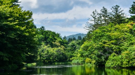 Kumoba Pond Karuizawa Japan by Jayrome Balicol